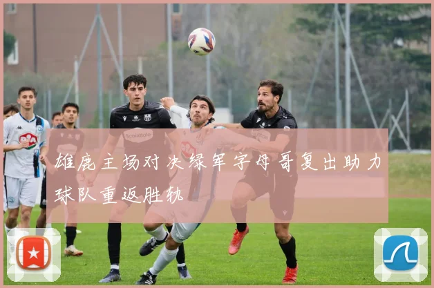 雄鹿主场对决绿军字母哥复出助力球队重返胜轨