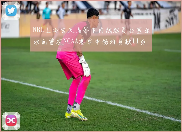 NBL上海玄天鸟签下内线球员拉塞尔切瓦曾在NCAA赛季中场均贡献11分8篮板