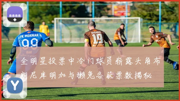 全明星投票中冷门球员崭露头角布朗尼库明加与獭兔各获票数揭秘
