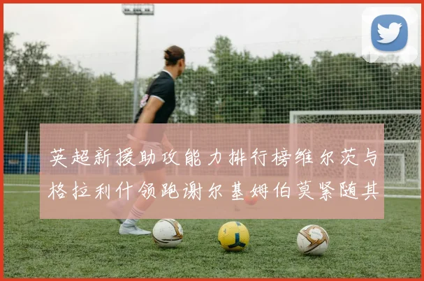 英超新援助攻能力排行榜维尔茨与格拉利什领跑谢尔基姆伯莫紧随其后