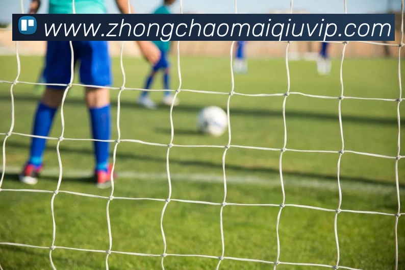 中超买球APP 封面图